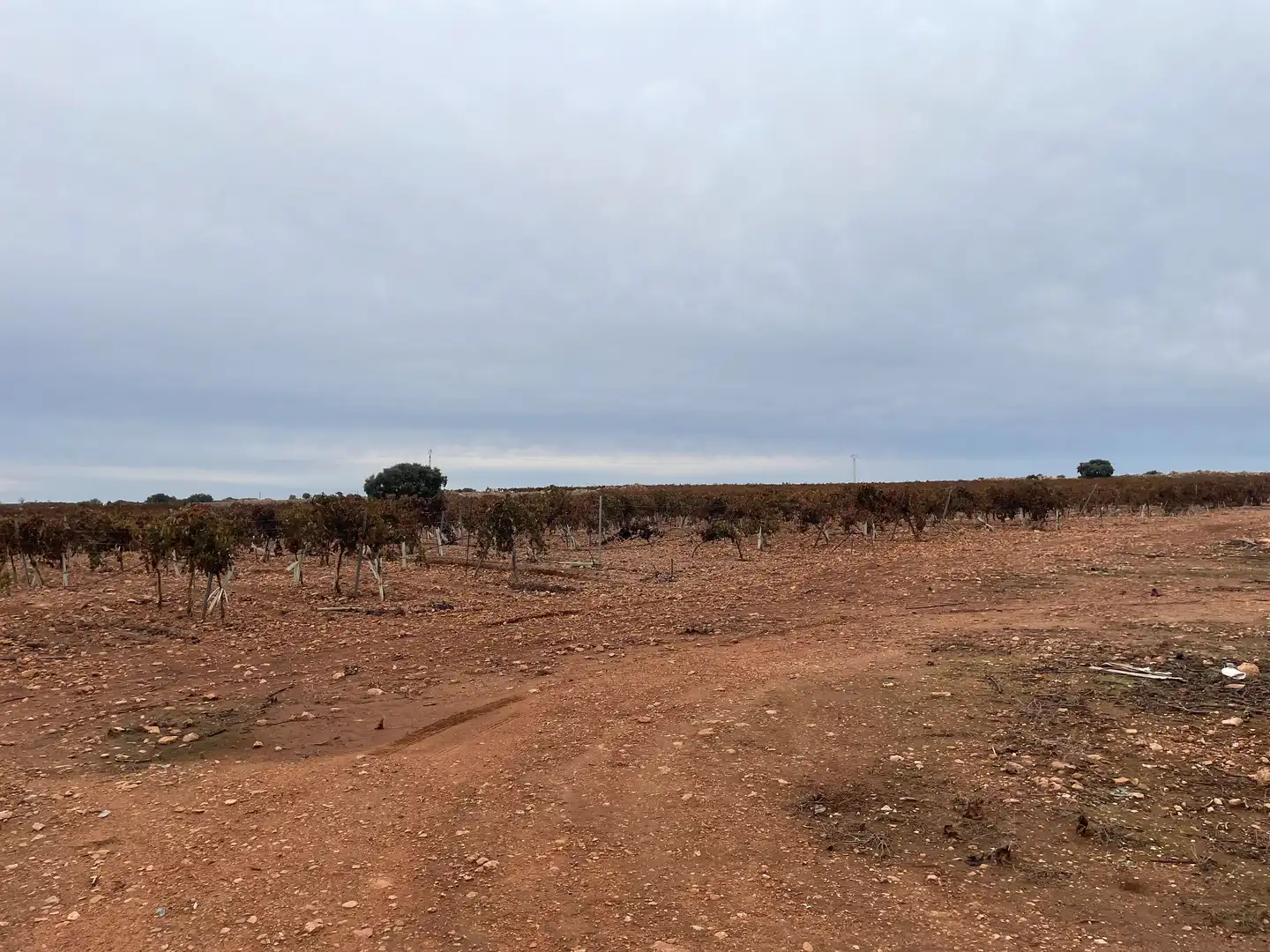 Terreno rustico in vendita a TO-2999 5, imagen 9