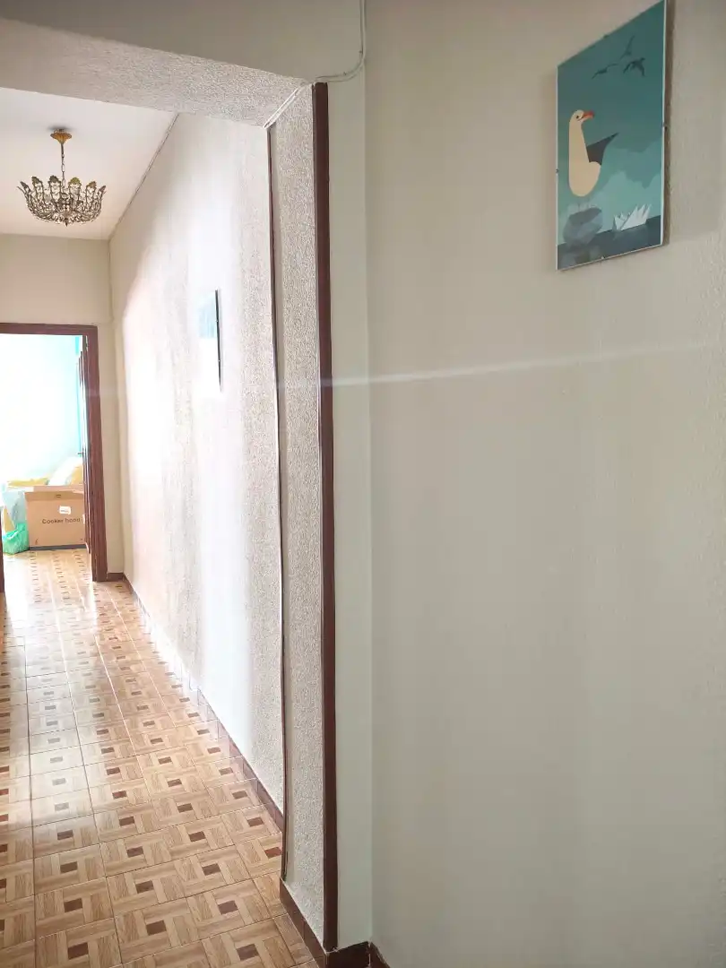 Flat for share in Alicante / Alacant  with Terrace, Furnished and Balcony