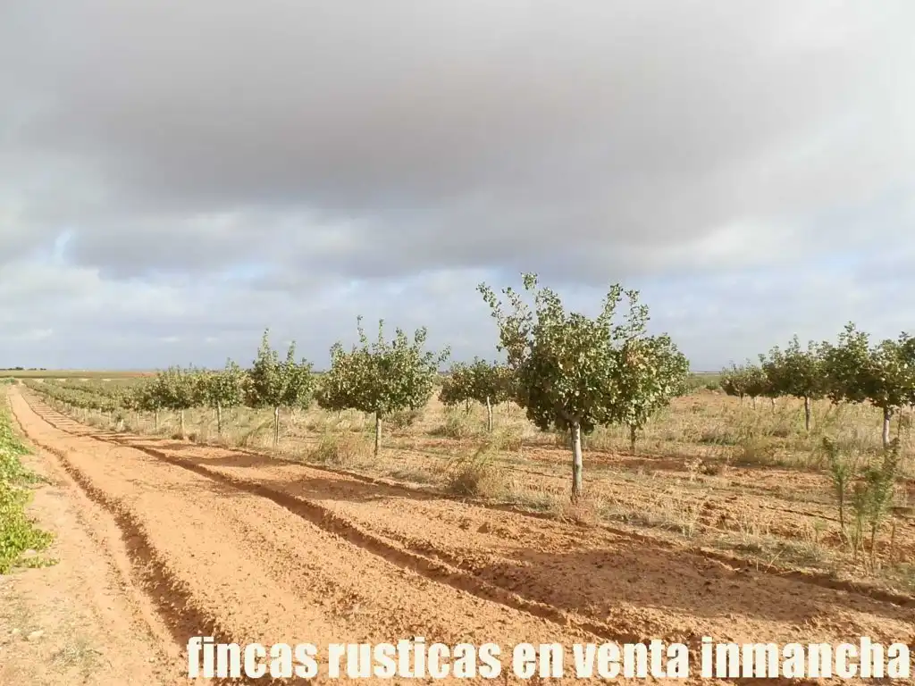 Terreni e lotti in vendita a Las Mesas, imagen 5