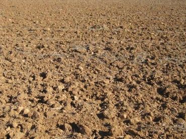 Terreno rustico in vendita a Puigverd de Lleida