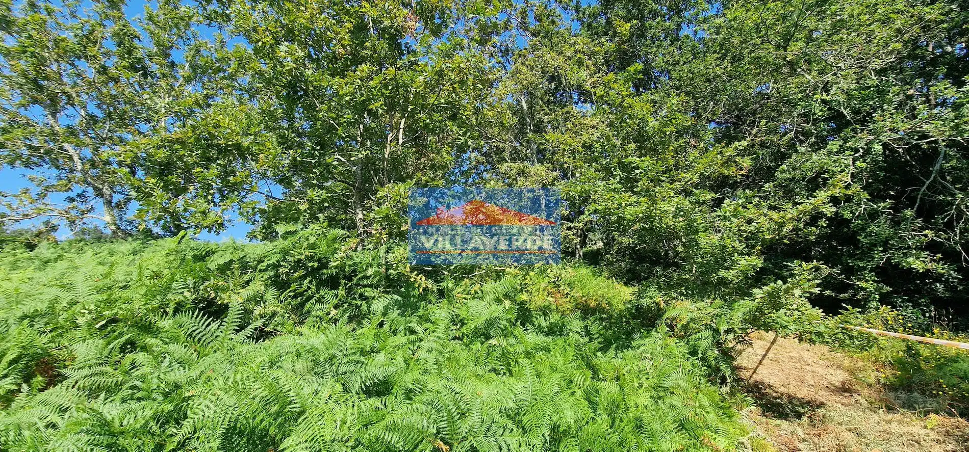Grundstücke und Bauplätze zum Verkauf in Darbo, imagen 14