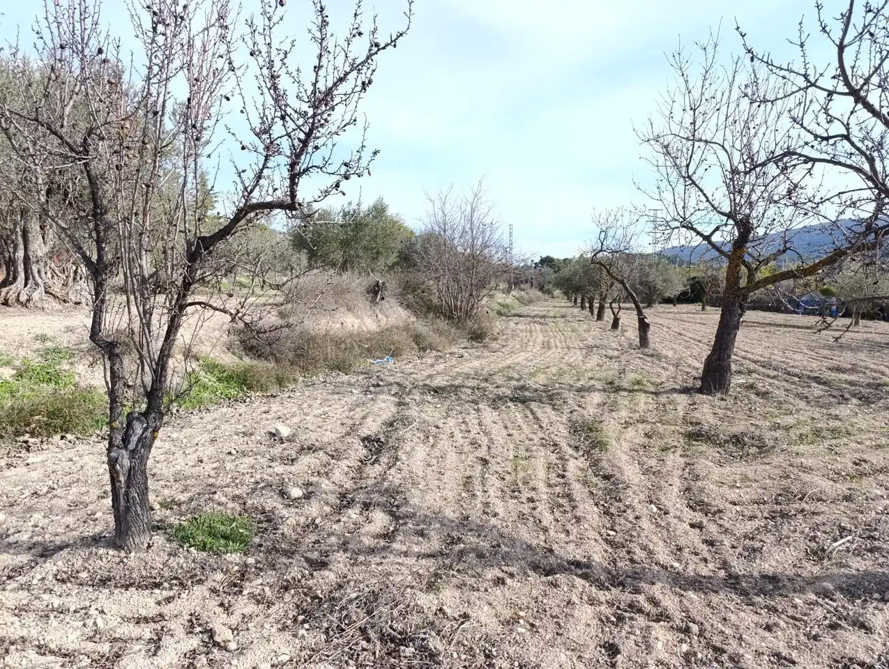 Finca rústica en venta en Ibi