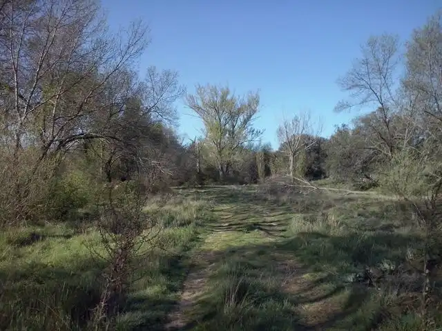 Residential land for sale in Urbanización Sotogrande 3, imagen 7