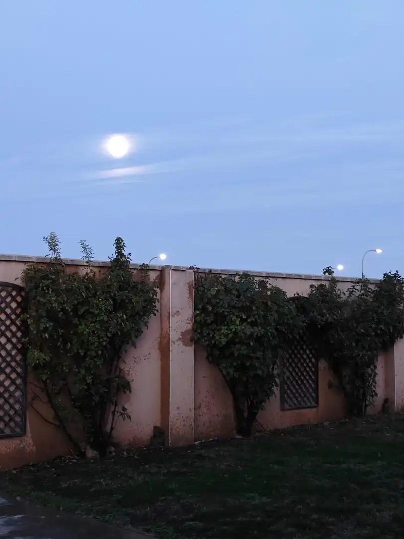 Maison avec terrasse à vendre à Valdepeñas, imagen 12