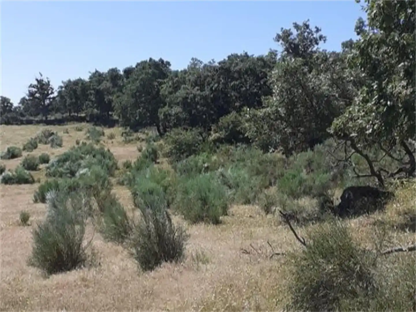 Terreno en venta en Valencia de Alcántara