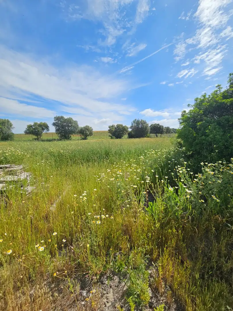 Maison rustique à vendre à Vejer, imagen 6
