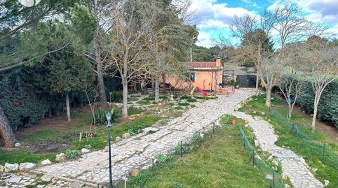 Pinar de Jabaga