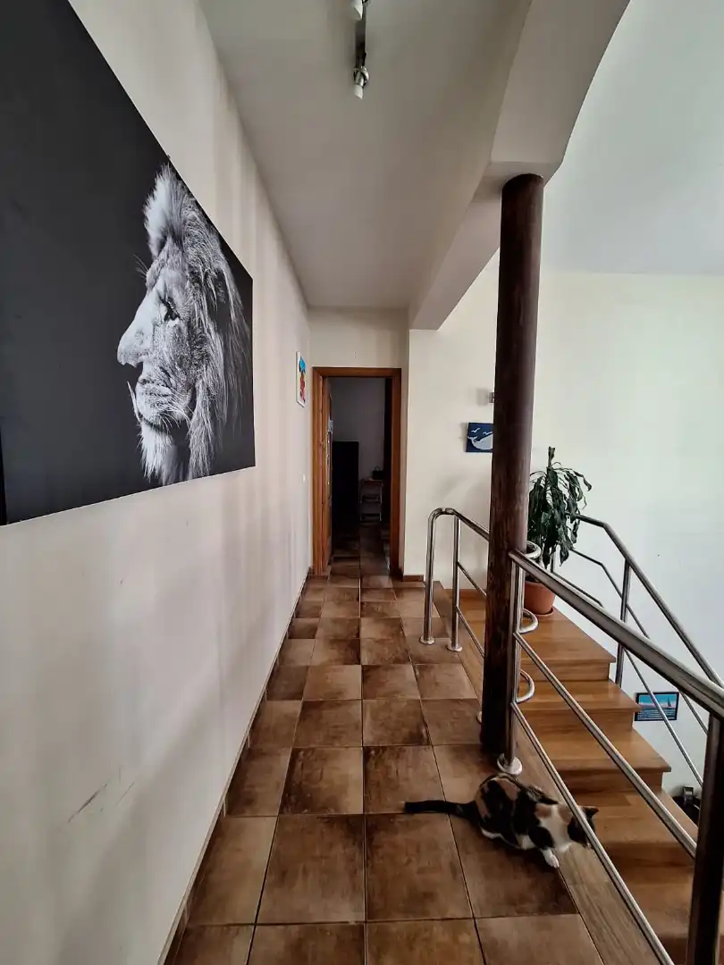 Villa avec terrasse à vendre à Calle Villegas 18, imagen 15