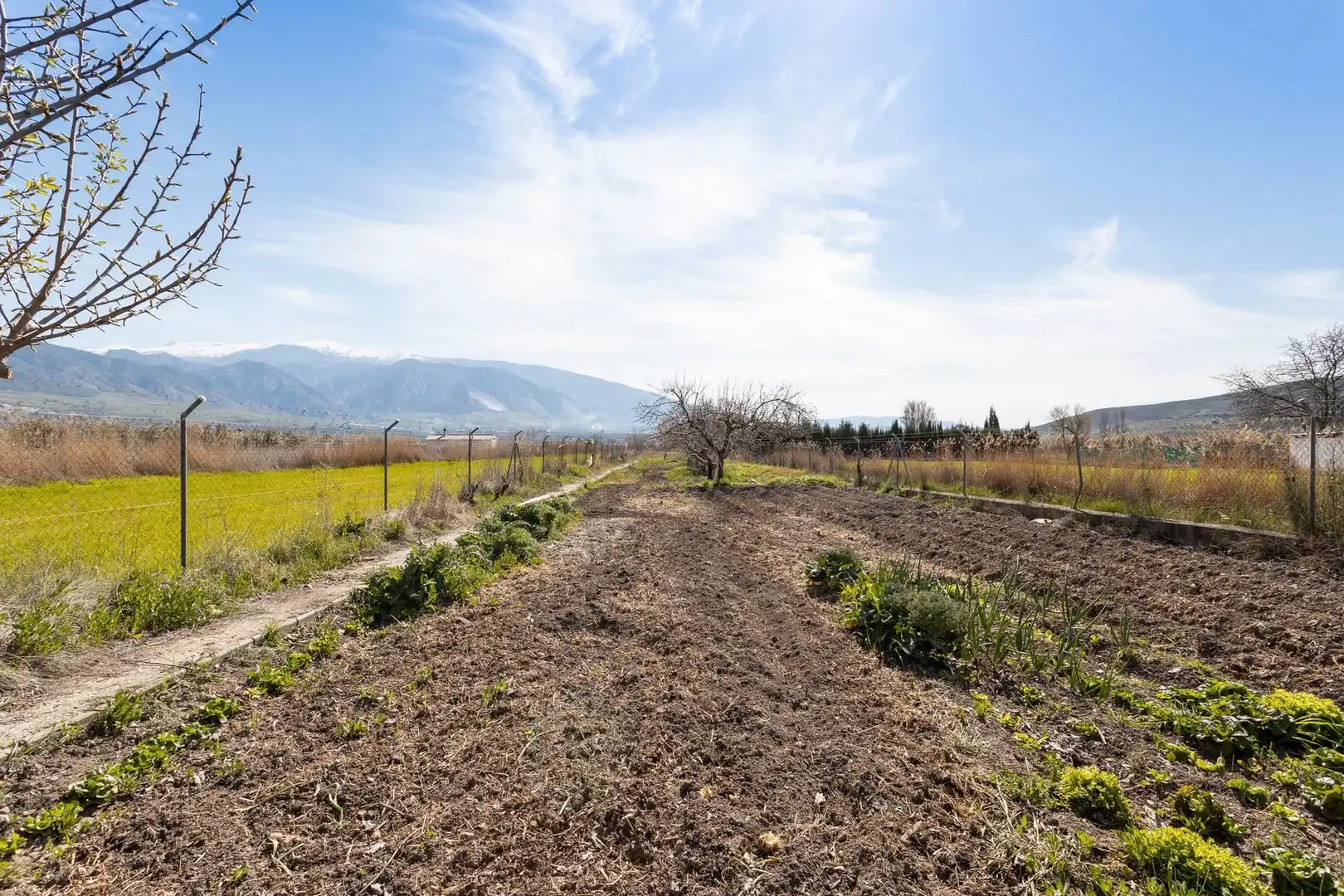Country homes for sale in Padul  with Private garden, Storage room and Swimming Pool