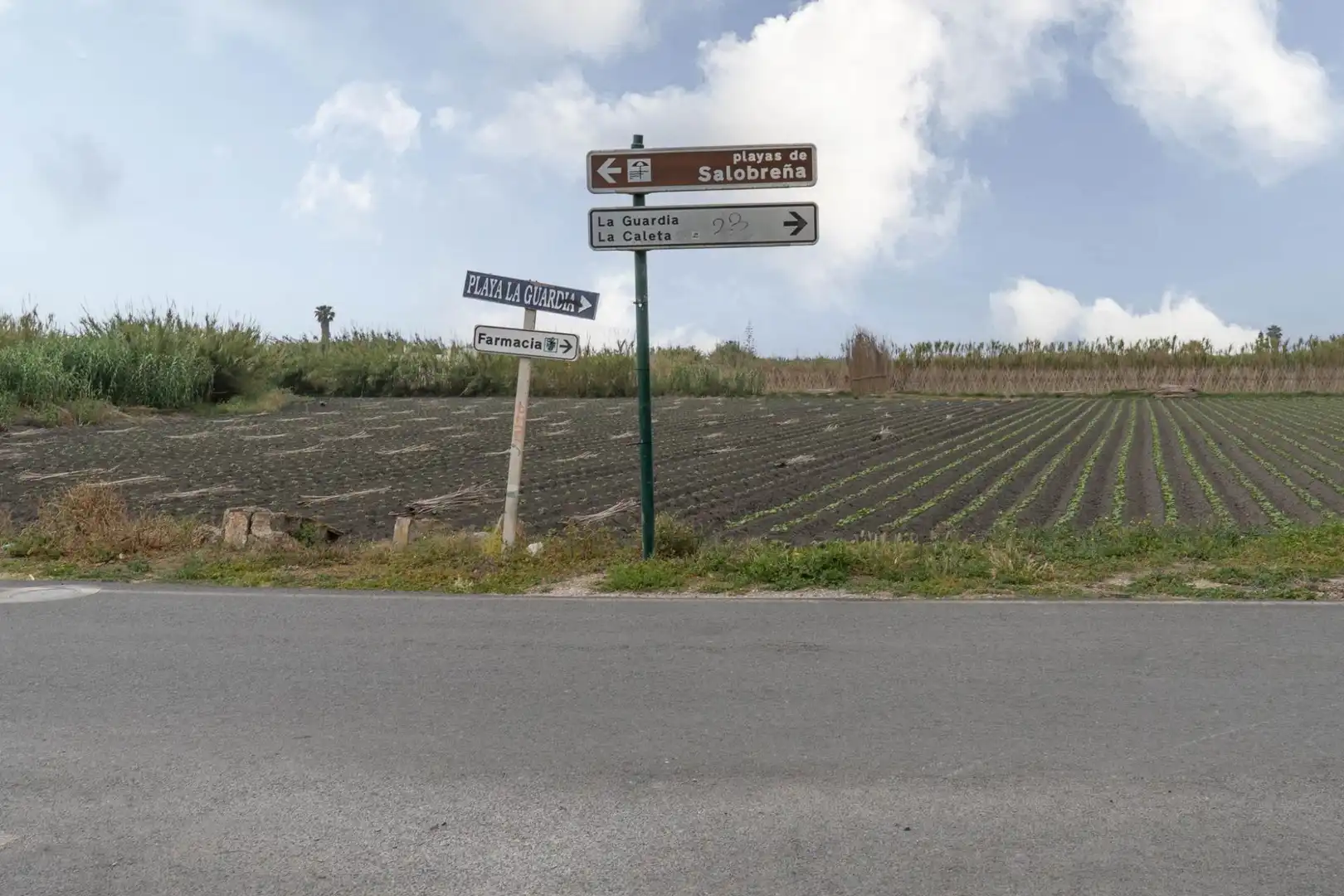 Terreni e lotti in vendita a CARRETERA MALAGA (CAL), imagen 46
