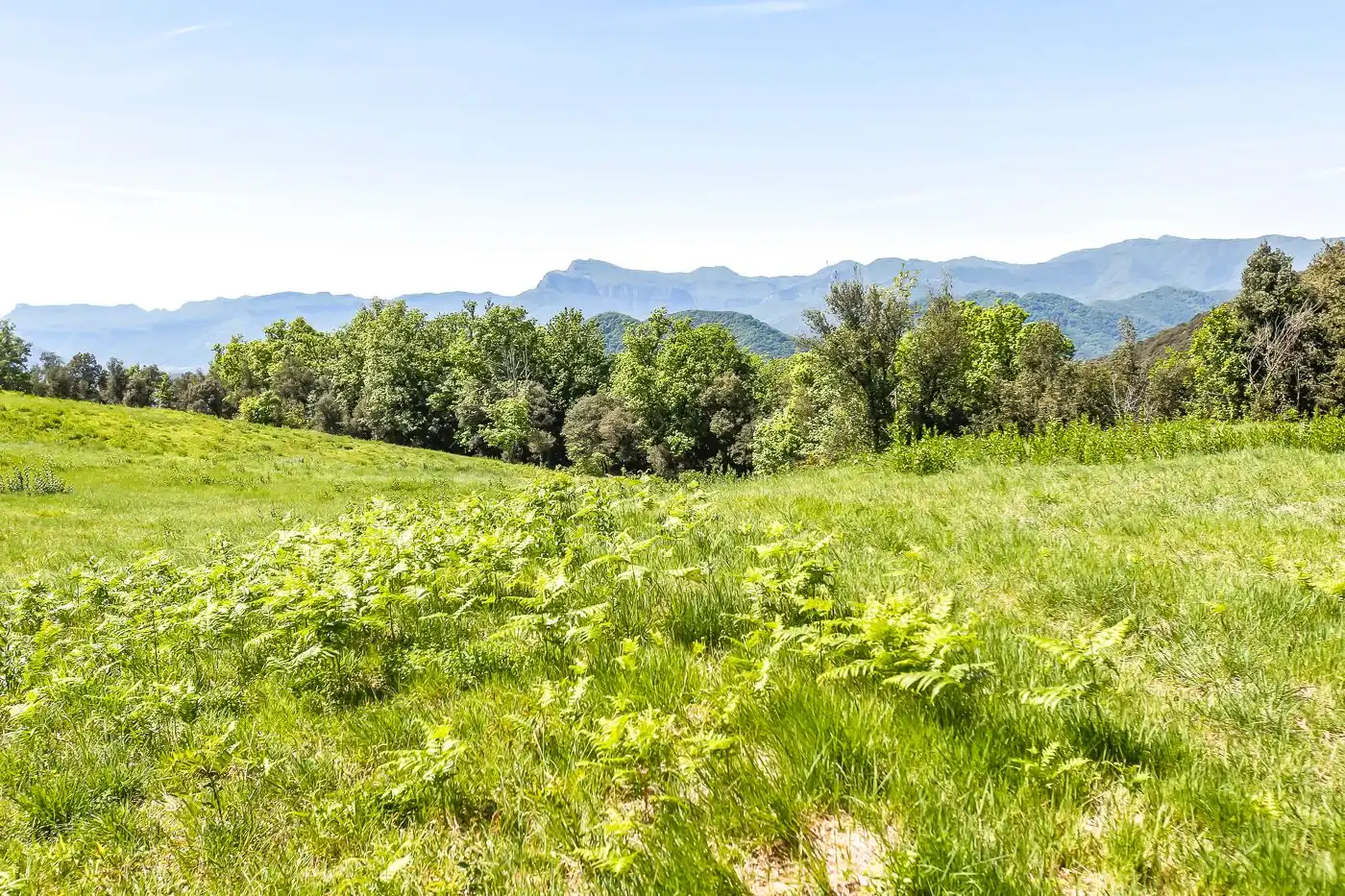 Casa rústica con jardín en venta en Sant Joan Les Fonts, imagen 48