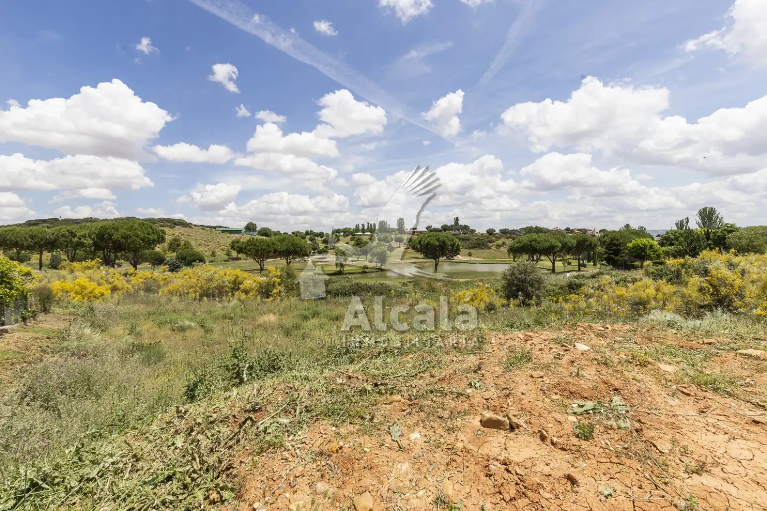 Terreny rústic en venda a Cabanillas del Campo, imagen 12