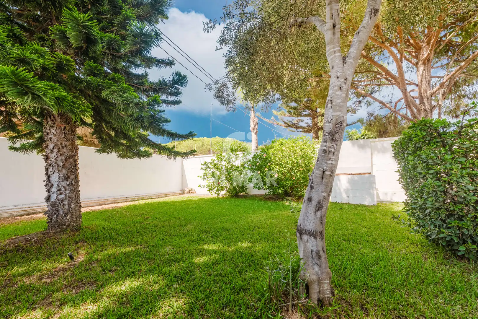 Garden of Houses for sale in Chiclana de la Frontera  with Private garden and Swimming Pool