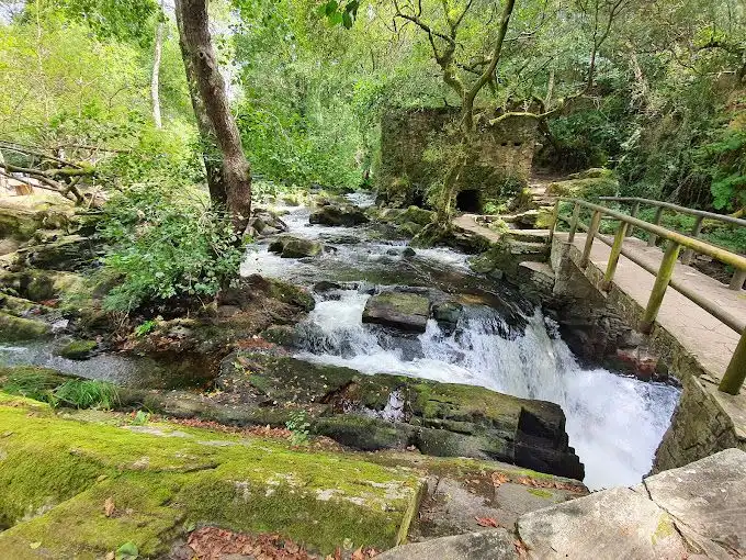 Casa amb jardí de lloguer a Rúa Xaviña 35, imagen 43