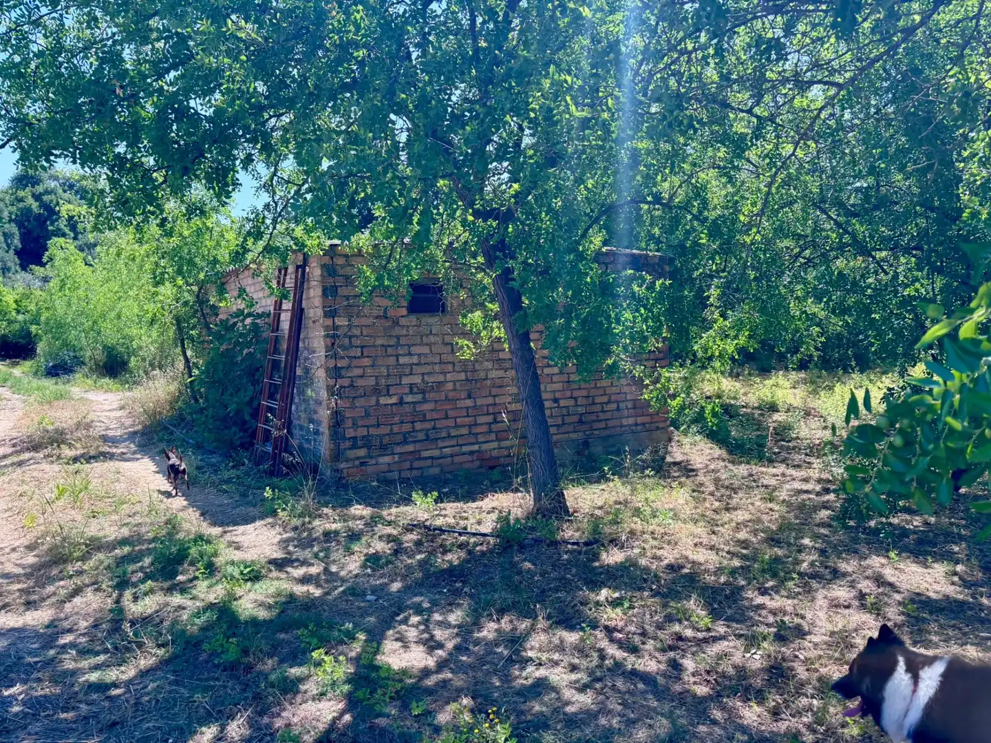 Grundstücke zum Verkauf in Arcos de la Frontera