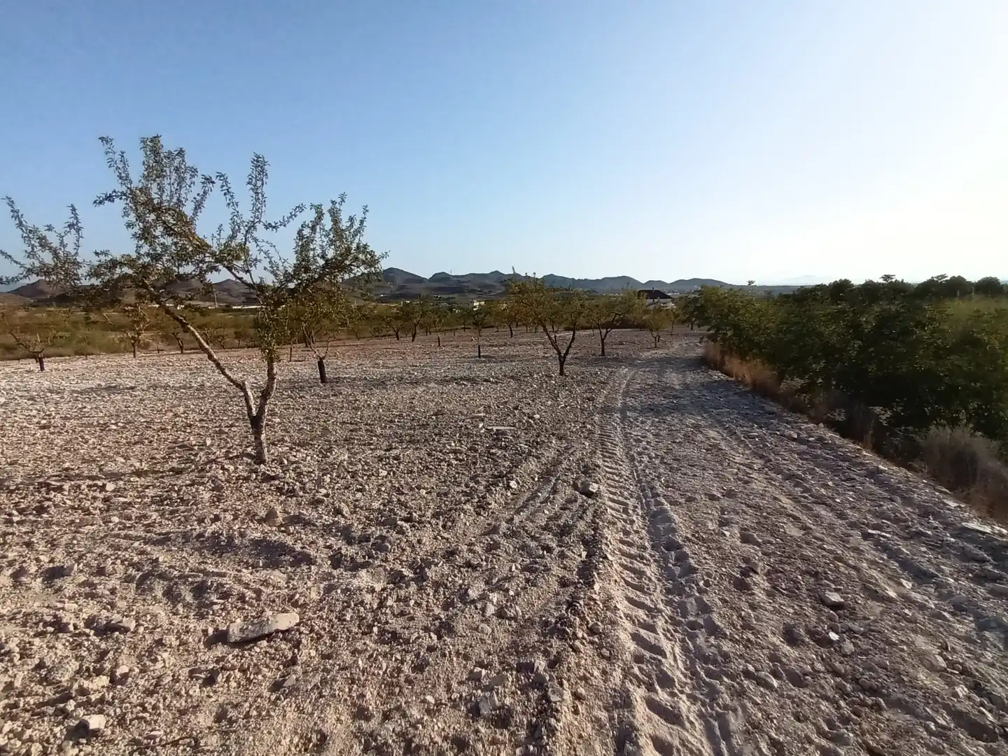 Terreno rustico in vendita a Lugar las Barrenas 6, imagen 16
