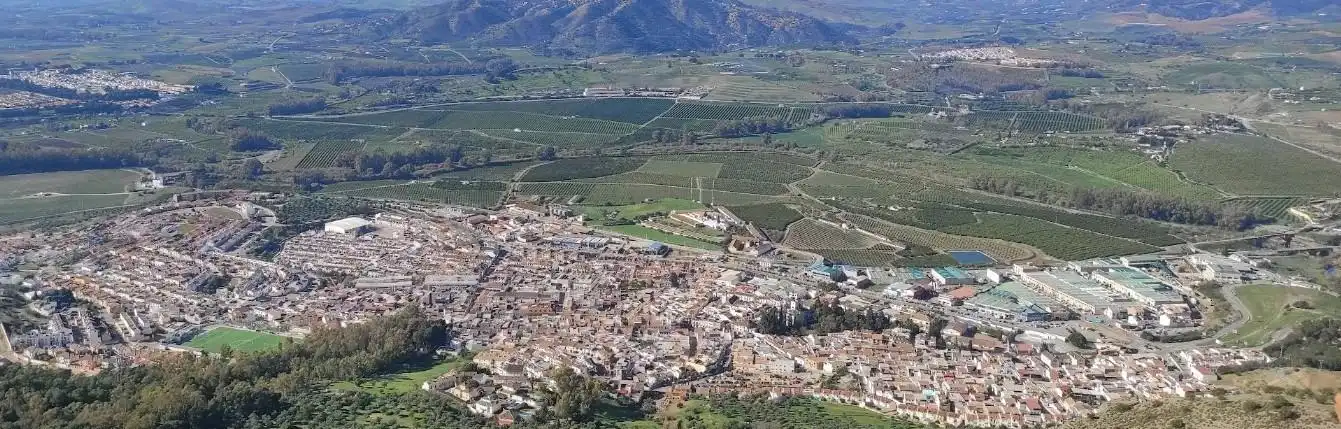 Exterior view of Flat for sale in Pizarra  with Terrace