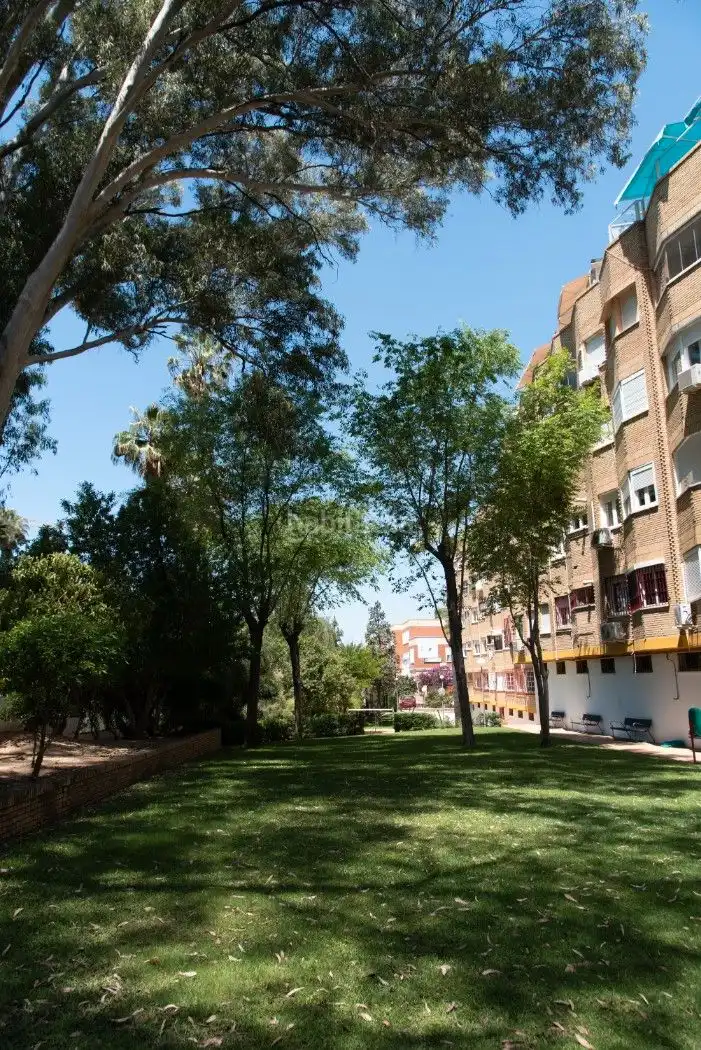 Appartamento con ascensore in vendita a Avenida Manuel Siurot 12, imagen 41