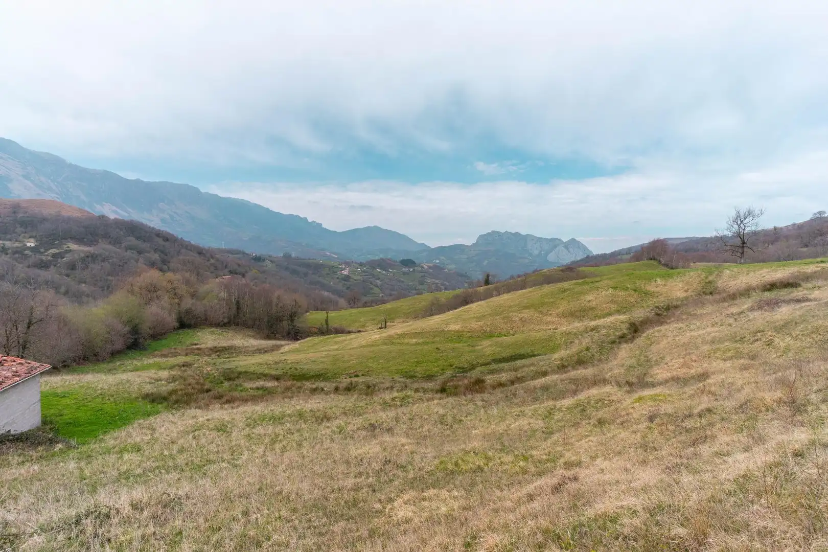 Land for sale in Riosa