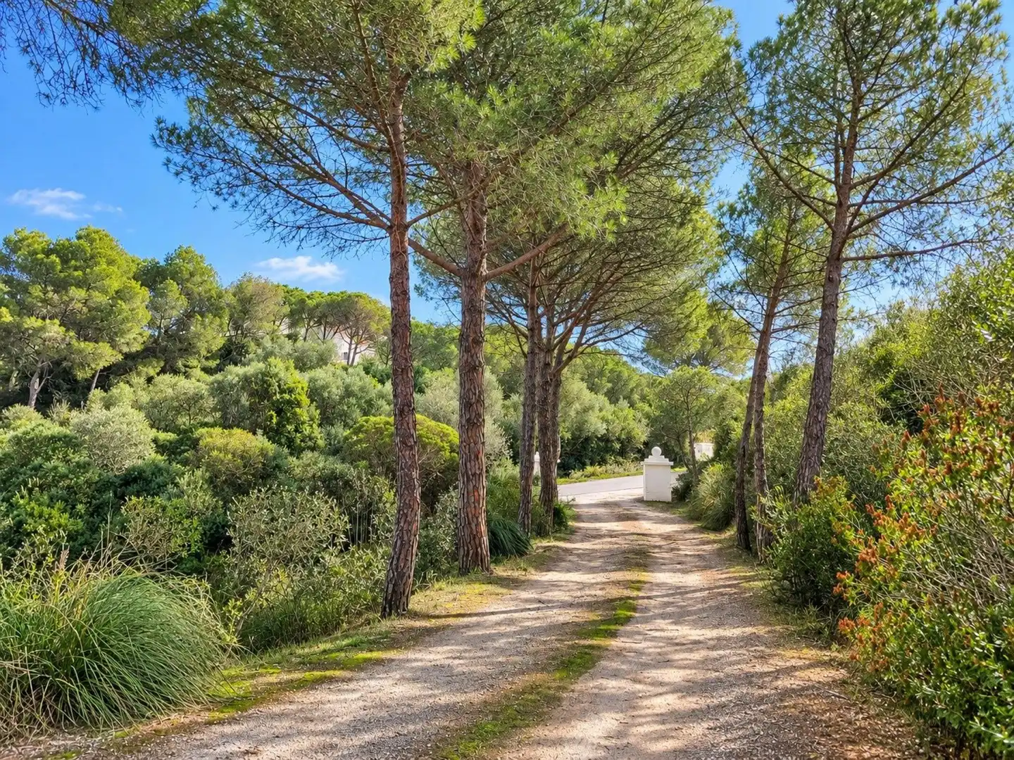 Maison avec terrasse à vendre à Es Grau - Serra Morena, imagen 47