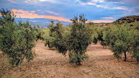 Finca Rúst. en venta en Los Arenales.