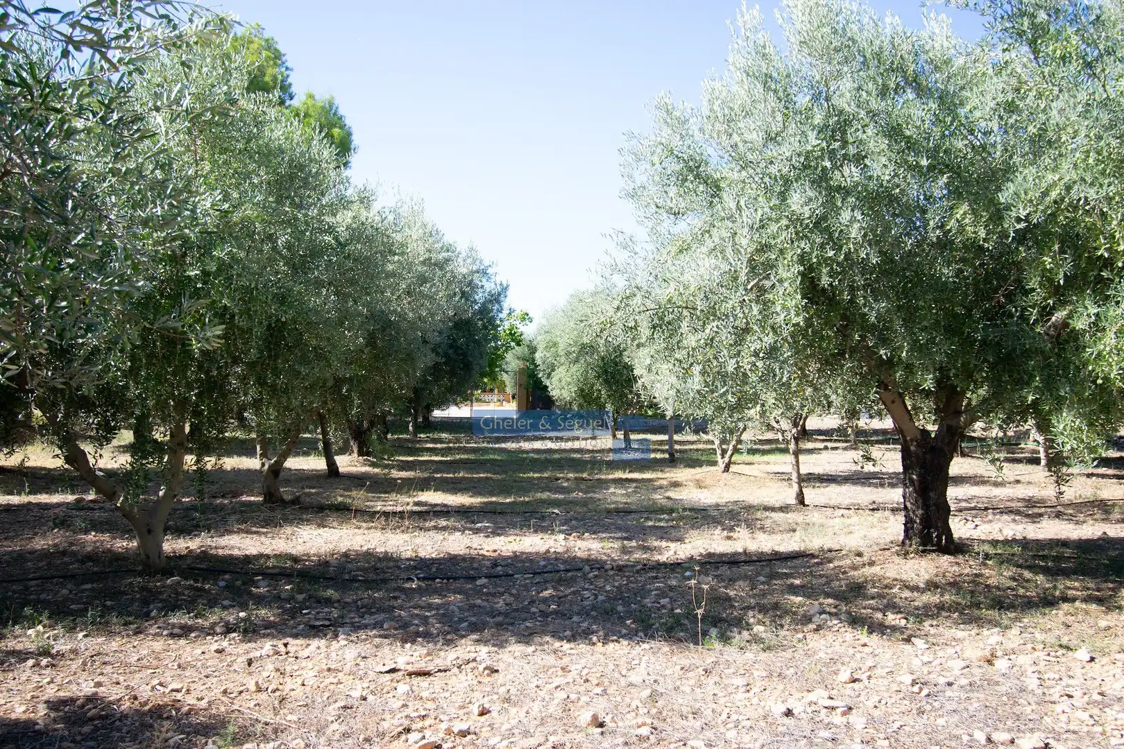 Finca rústica en venda en Llíria