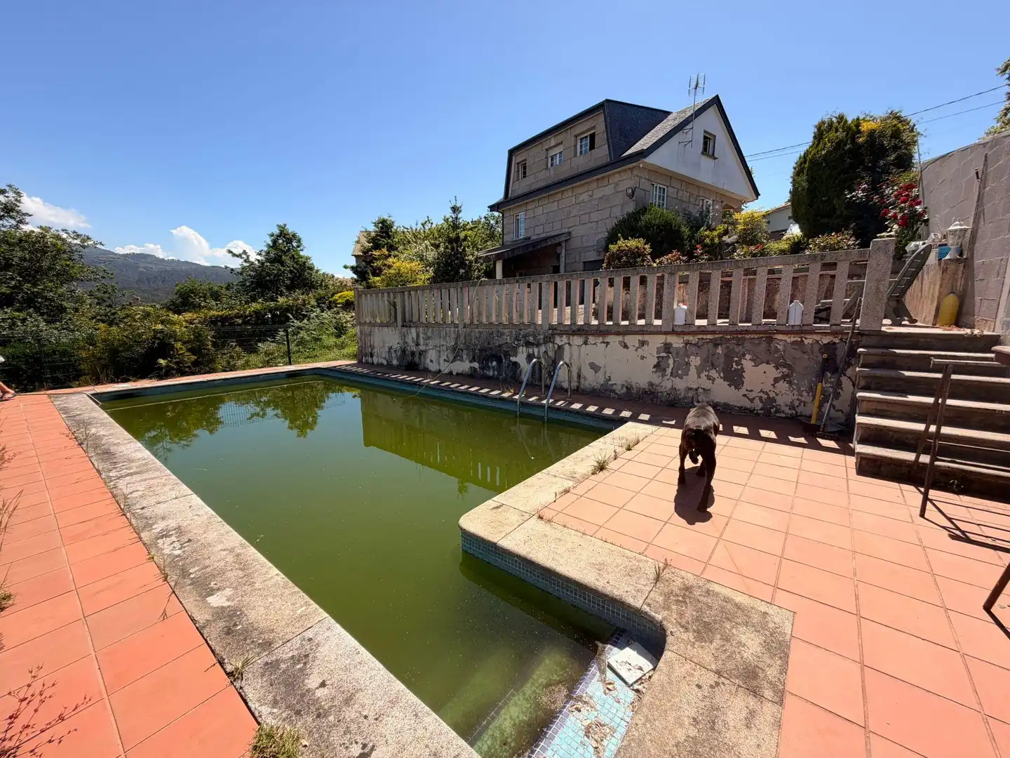 Piscina de Casa o chalet en venta en Vigo 