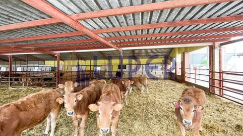 Foto 2 de Finca rústica en venta en Pla de la Vallonga, Alicante