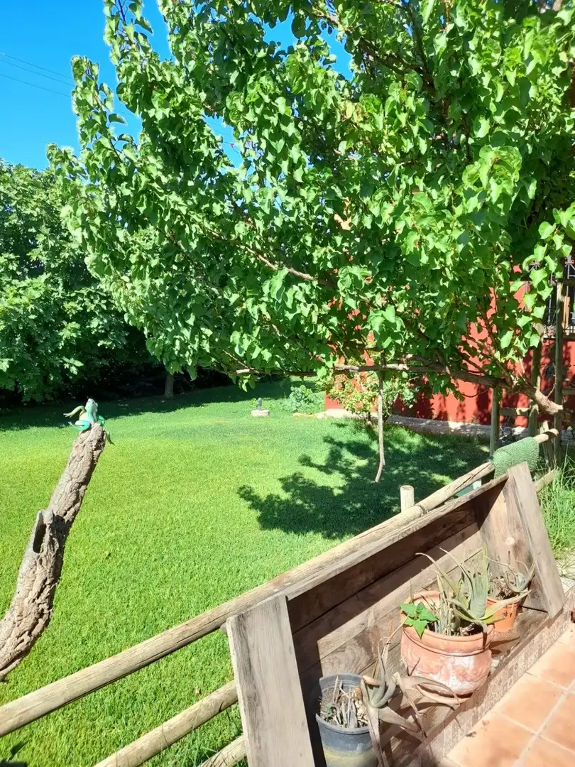 Jardín de Casa o chalet en venta en Cáceres con Jardín privado, Terraza y Trastero