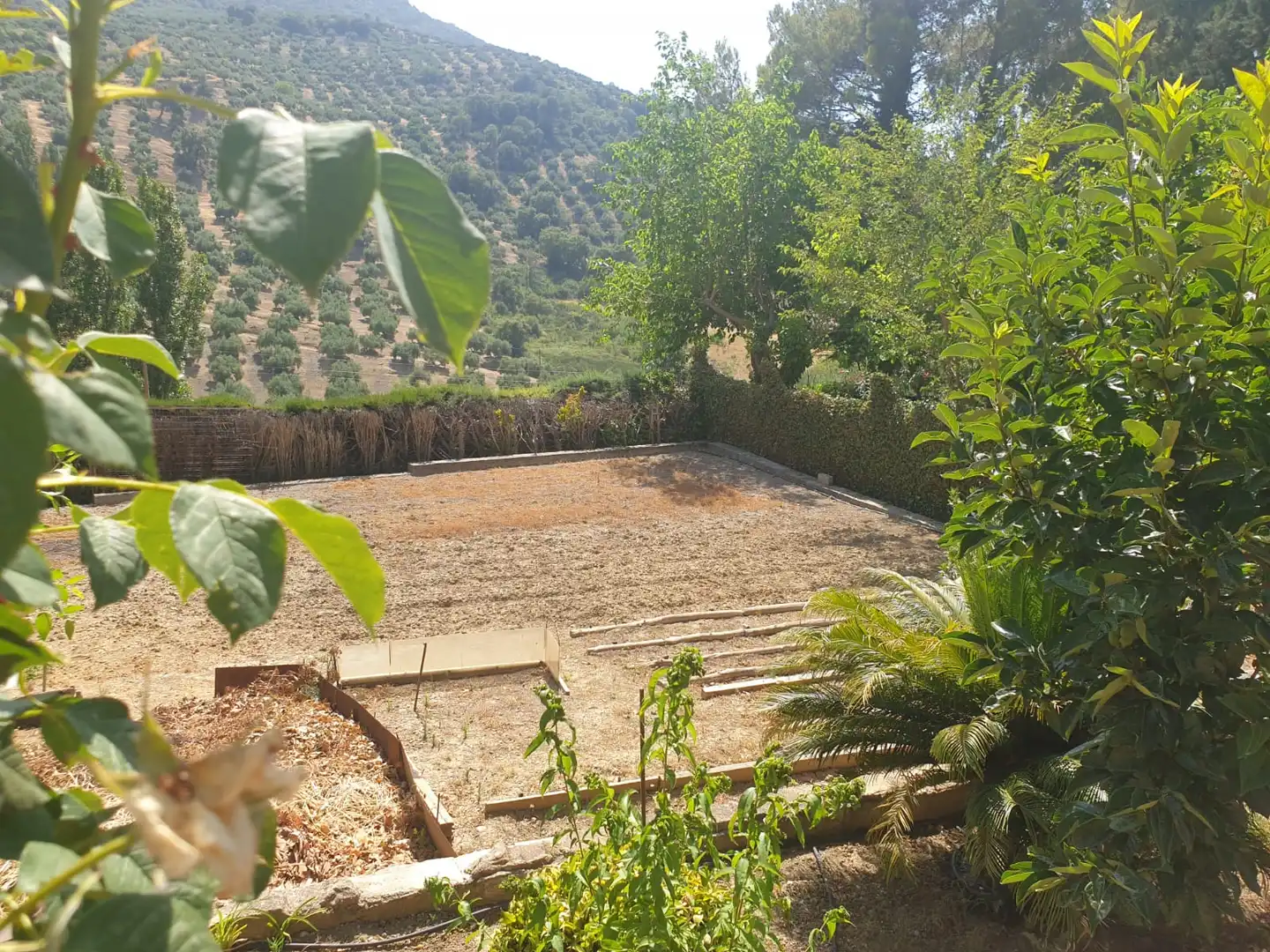 Xalet amb piscina en venda a JA-3300 17, imagen 21