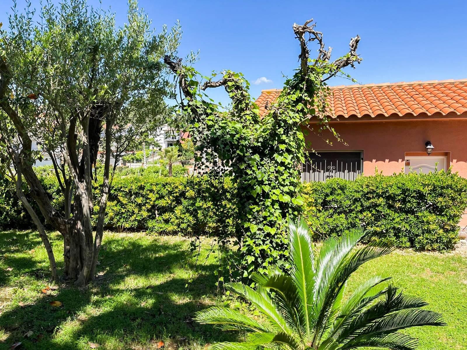 Jardí de Casa o xalet en venda en Esparreguera amb Calefacció, Jardí privat i Terrassa