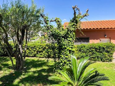 Xalet amb piscina en venda a Can Rial