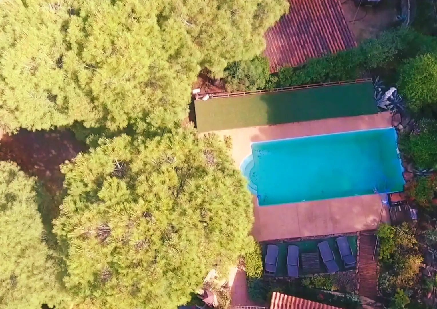 Swimming pool of Buildings for sale in Calañas  with Community pool