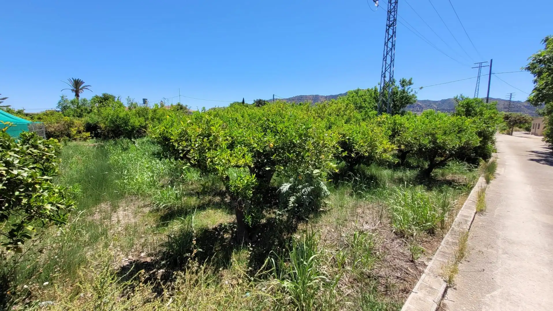 Terreno en venta en Murcia