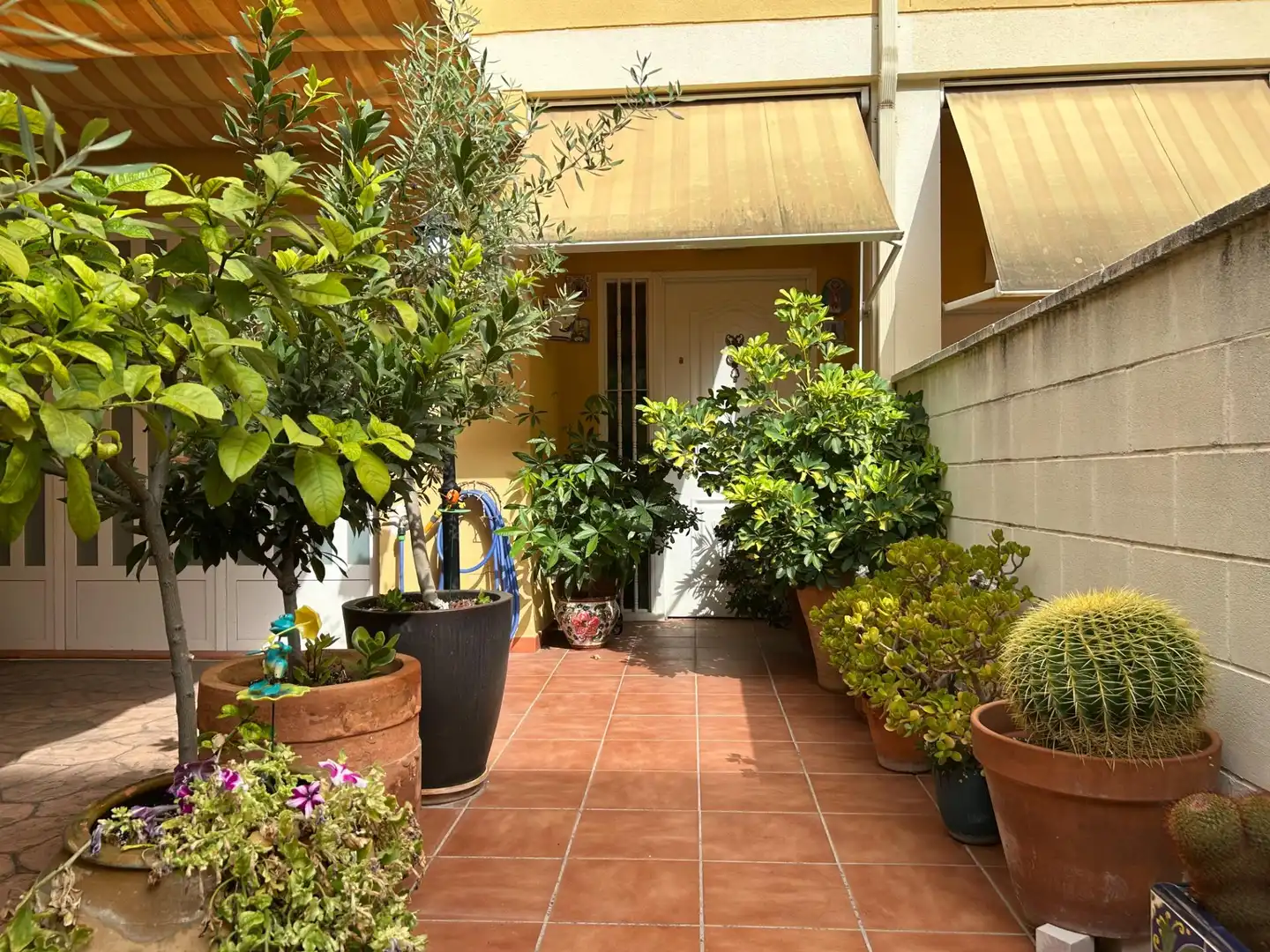 Adosado con jardín en venta en Calle CONSTITUCIO, imagen 48