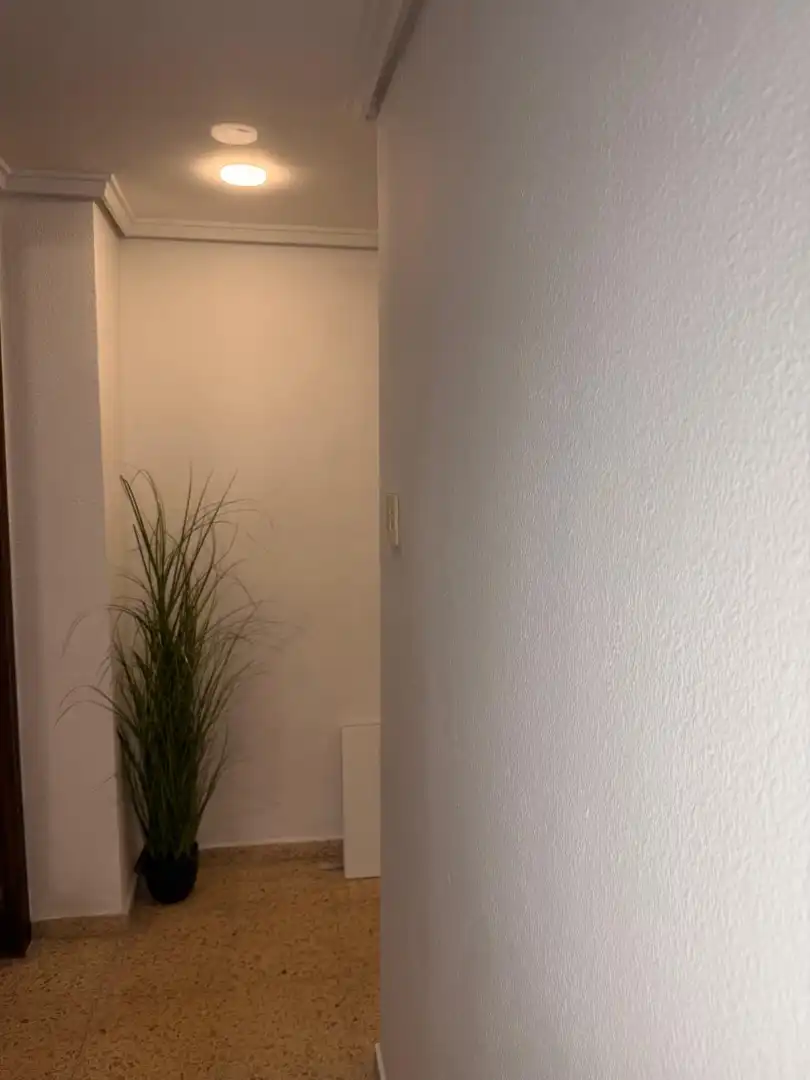 Piso de alquiler en Sagunto / Sagunt con Amueblado