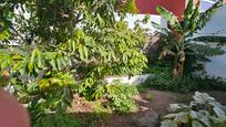 Garden of House or chalet for sale in Las Palmas de Gran Canaria  with Private garden, Terrace and Alarm