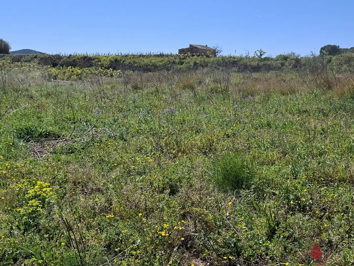 Terrenos y solares en venta en CTRA EL VENDRELL 593, imagen 5