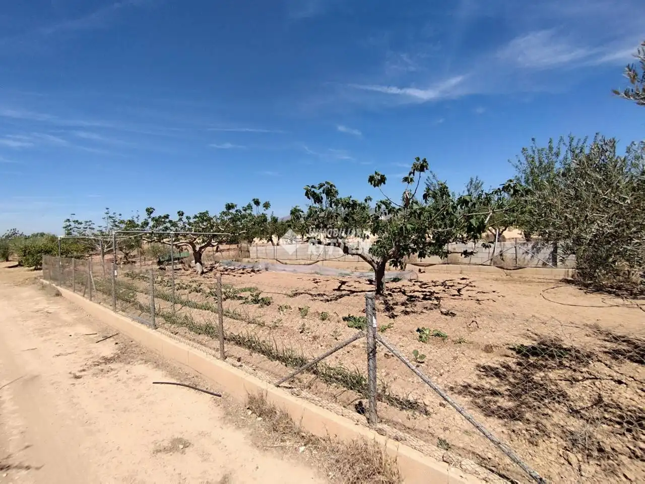Finca rústica en venda en Fuente Álamo de Murcia amb Aire condicionat, Jardí privat i Moblat