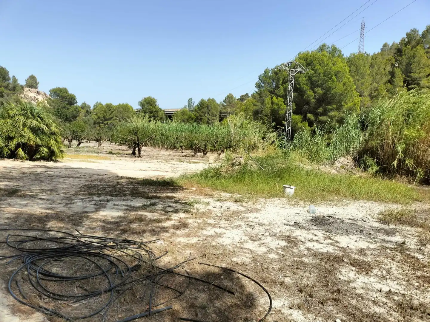 Local en venta en L'Alcúdia de Crespins