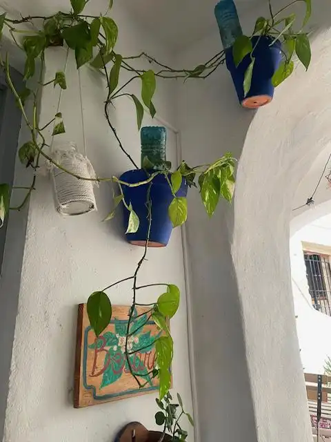 Balcony of Apartments for sale in Vejer de la Frontera  with Storage room