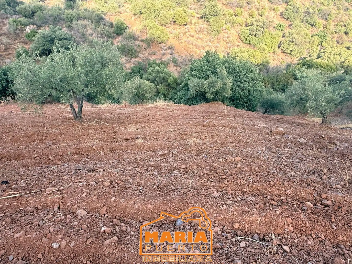 Terreno rustico in vendita a Almogía, imagen 13