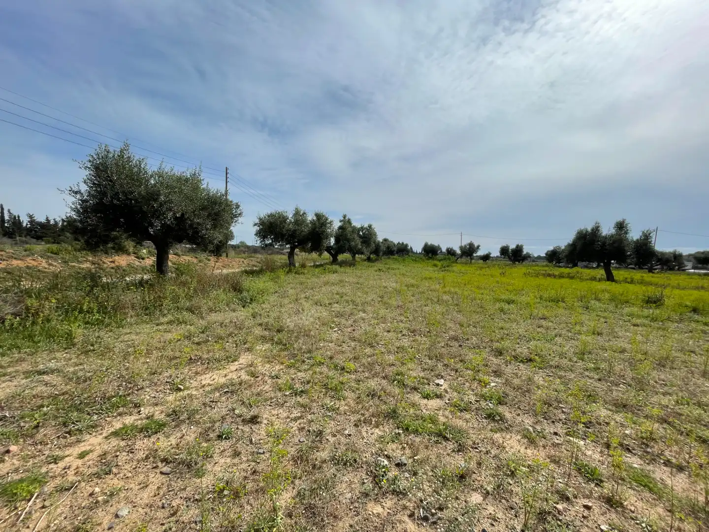 Grundstücke zum Verkauf in Cambrils