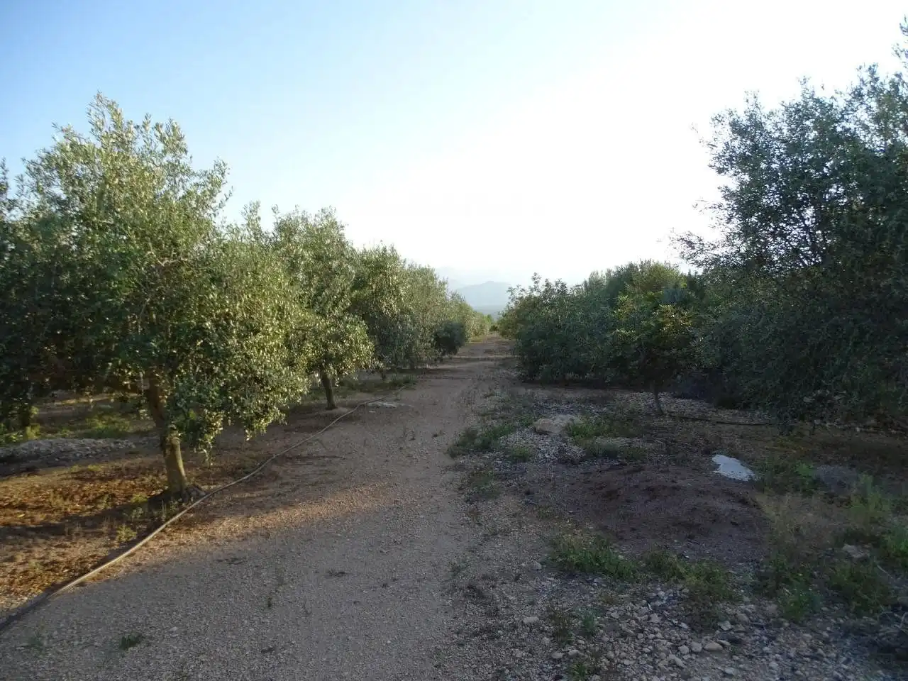 Terrenos y solares en venta en 2