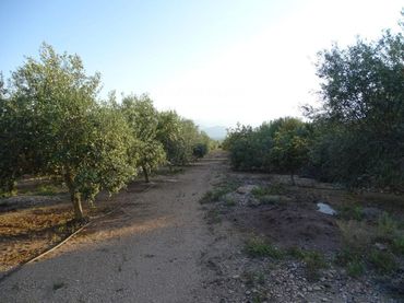 Terrenos y solares en venta en 2
