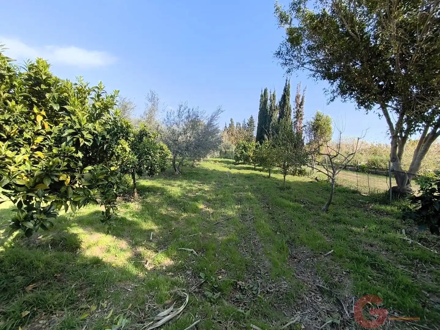 Finca rústica en venda en Motril amb Terrassa i Traster