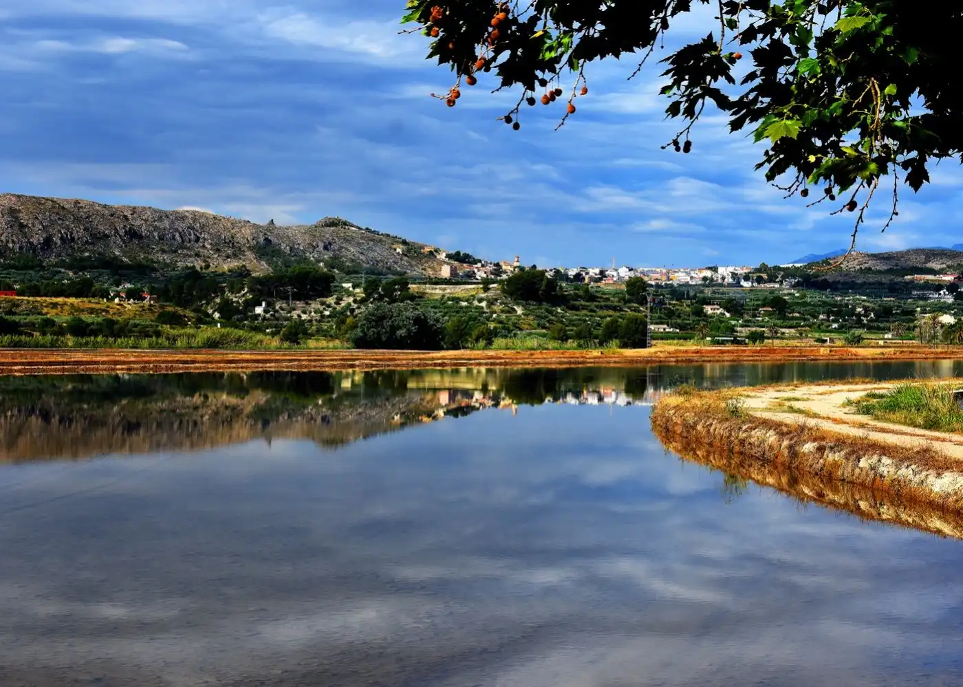 Casa o xalet en venda a Calasparra