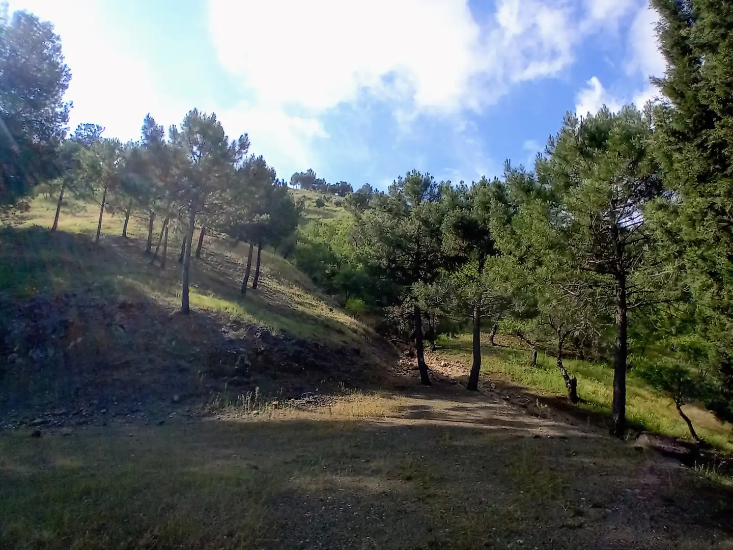 Terreno rustico in vendita a Monda, imagen 9