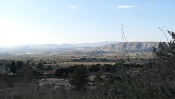Terreno rústico en venta en Ptda Pinar, imagen 8