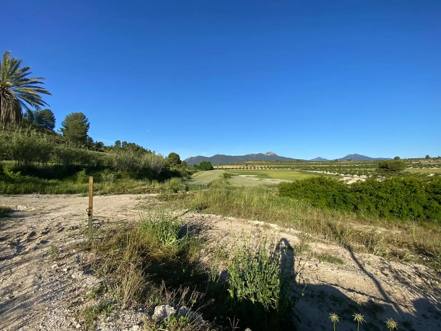 Villa à vendre à Moratalla, imagen 13